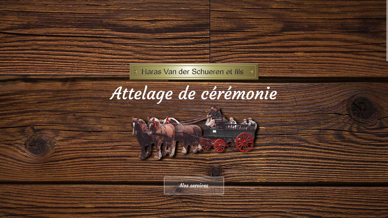 Site Web de Jérôme Taminiau