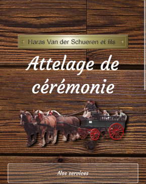 Site Web de Jérôme Taminiau